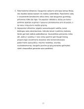 Valstybių įsipareigojimai ir tarptautinės garantijos demokratijos plėtrai nūdienos Europoje 10 puslapis