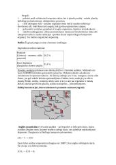 Vandens ir oro tarša 5 puslapis