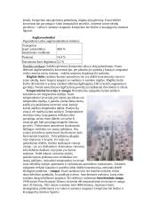 Vandens ir oro tarša 7 puslapis