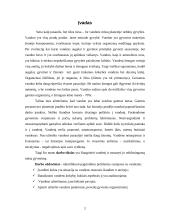 Vandens problematika 2 puslapis