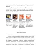 Vandens problematika 13 puslapis