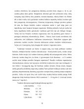 Vandens problematika 18 puslapis