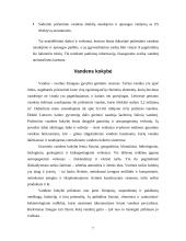 Vandens problematika 7 puslapis