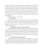 Vandens reikšmė žmogui 7 puslapis