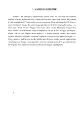 Vandens teršimas 3 puslapis