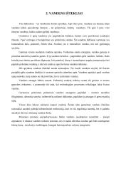 Vandens teršimas 4 puslapis