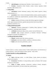 Vanduo, vandens šaltiniai 14 puslapis