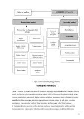 Vartojimo kreditas 11 puslapis