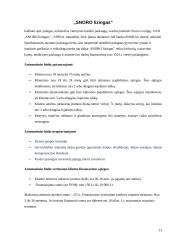 Vartojimo kreditas 13 puslapis