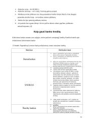 Vartojimo kreditas 15 puslapis