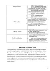 Vartojimo kreditas 16 puslapis