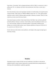 Vartojimo kreditas 17 puslapis