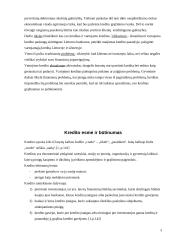 Vartojimo kreditas 3 puslapis