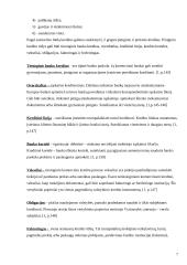 Vartojimo kreditas 7 puslapis