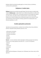 Vartojimo kreditas 9 puslapis