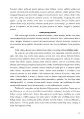 Vartotojo biudžetas 12 puslapis