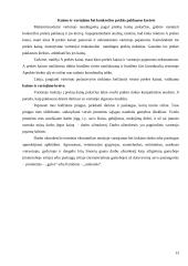 Vartotojo biudžetas 13 puslapis