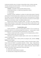 Vartotojo biudžetas 4 puslapis