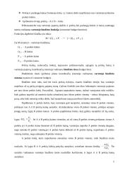 Vartotojo biudžetas 5 puslapis