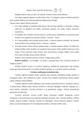 Vartotojo biudžetas 6 puslapis