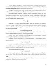 Vartotojo biudžetas 7 puslapis