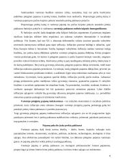 Vartotojo biudžetas 8 puslapis