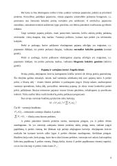 Vartotojo biudžetas 9 puslapis