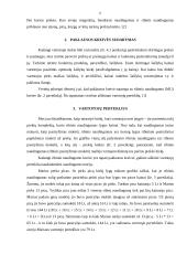 Vartotojų elgsena ir naudingumo teorija 8 puslapis