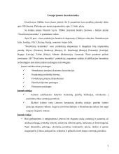 Vartotojų elgsenos tyrimų planas 3 puslapis