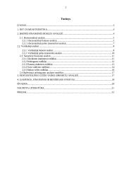 AB "Rytų skirstomieji tinklai"  veiklos finansinė analizė 2 puslapis