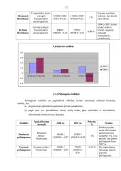 AB "Rytų skirstomieji tinklai"  veiklos finansinė analizė 12 puslapis
