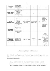 AB "Rytų skirstomieji tinklai"  veiklos finansinė analizė 17 puslapis