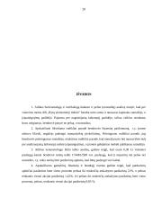 AB "Rytų skirstomieji tinklai"  veiklos finansinė analizė 20 puslapis