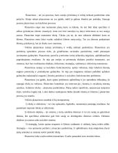 Veiklos planavimas 2 puslapis