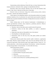 Veiklos planavimas 3 puslapis