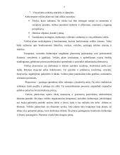 Veiklos planavimas 4 puslapis