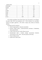 Vėjo jėgainės, jų vystymasis, naudojimas, statyba 5 puslapis