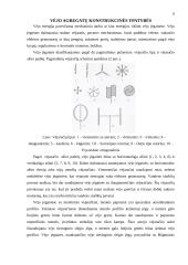 Vėjo jėgainės, jų vystymasis, naudojimas, statyba 6 puslapis