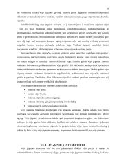 Vėjo jėgainės, jų vystymasis, naudojimas, statyba 8 puslapis