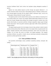 Viskas apie vėjo jėgaines 11 puslapis