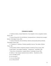 Viskas apie vėjo jėgaines 14 puslapis