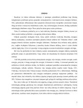 Viskas apie vėjo jėgaines 3 puslapis