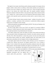 Viskas apie vėjo jėgaines 8 puslapis