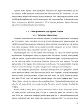 Viskas apie vėjo jėgaines 10 puslapis