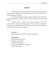 Vekselių samprata 2 puslapis