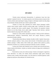 Vekselių samprata 11 puslapis