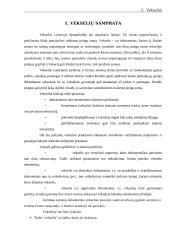 Vekselių samprata 3 puslapis