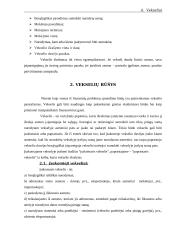 Vekselių samprata 4 puslapis