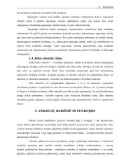 Vekselių samprata 6 puslapis