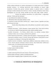 Vekselių samprata 7 puslapis